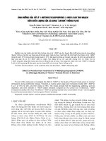 Microsoft word   tap chi so 10 1 2022