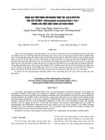 Microsoft word   tap chi so 10 1 2022