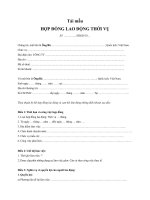 MẪU HỢP ĐỒNG LAO ĐỘNG THỜI VỤ