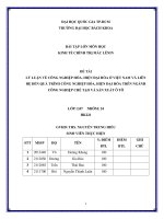 LÝ LUẬN VỀ CÔNG NGHIỆP HÓA, HIỆN ĐẠI HÓA Ở VIỆT NAM VÀ LIÊN HỆ ĐẾN QUÁ TRÌNH CÔNG NGHIỆP HÓA, HIỆN ĐẠI HÓA TRÊN NGÀNH CÔNG NGHIỆP CHẾ TẠO VÀ SẢN XUẤT Ô TÔ.pdf