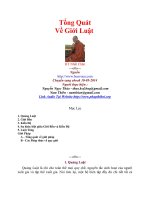 Tong Quat Ve Gioi Luat - HT Nhat Chan