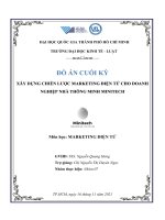 ĐỒ ÁN CUỐI KỲ XÂY DỰNG CHIẾN LƯỢC MARKETING ĐIỆN TỬ CHO DOANH NGHIỆP NHÀ THÔNG MINH MINITECH