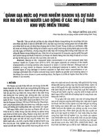 Đánh giá mức độ phơi nhiễm radon và dự báo rủi ro đối với người lao động ở các mỏ lộ thiên khu vực miền trung