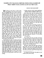 Nghiên cứu tận dụng phế phụ phẩm nông nghiệp để phát triển năng lượng sạch tại việt nam