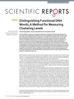 Distinguishing functional DNA words; a method for measuring clustering levels