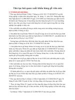 Thủ tục hải quan xuất khẩu hàng gỗ viên nén