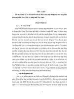 Nghĩa vụ và chế tài đối với các bên trong hợp đồng mua bán hàng hóa theo quy định của CISG và pháp luật việt nam