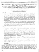 Tiềm năng rong biển làm nguyên liệu sản xuất ethanol nhiên liệu tại việt nam