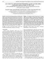 Các chất ức chế enzyme PTP1B phân lập từ cây Râu mèo (Orthosiphon stamineus Benth.) ở Việt Nam