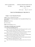 CÔNG TY CỔ PHẦN HANEL XỐP NHỰA  BÁO CÁO TÌNH HÌNH QUẢN TRỊ CÔNG TY