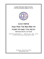 Giáo trình Soạn thảo văn bản điện tử (Nghề Tin học ứng dụng  Trình độ Trung cấp)