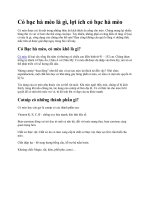 Cỏ bạc hà mèo là gì, lợi ích cỏ bạc hà mèoCỏ mèo được coi là một trong những thức ăn kích thích ăn uống cho mèo. Chúng mang lại nhiều hứng thú và vui vẻ hơn cho thú cưng của bạn. Tuy nhiên, không phải ai cũng hiểu rõ ràng về loại cỏ này là gì, công dụng