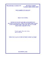 ĐÁNH GIÁ NGUỒN LỢI GHẸ XANH PORTUNUS PELAGICUS (LINNAEUS, 1758) Ở VÙNG BIỂN KIÊN GIANG LÀM CƠ SỞ KHOA HỌC CHO VIỆC QUẢN LÝ NGHỀ KHAI THÁC GHẸ BỀN VỮNG TT LUẬN ÁN TIẾN SĨ