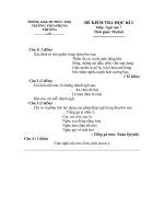 Đề thi học kì 1-Nv 7( cực hay)- Tự luận