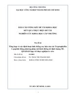 Tổng hợp và xác định hoạt tính chống oxy hóa của các tryptophyllin l peptide bằng phương pháp mô hình thống kê định lượng 3DQSAR kết hợp với thực nghiệm in vitro