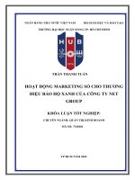 Hoạt động marketing số cho thương hiệu bảo hộ xanh của công ty net group