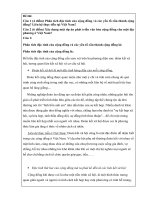 Bài thi cuối kì môn phát triển văn hóa cộng đồng