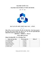 Thực tiễn và vai trò của thực tiễn đối với nhận thức. Vận dụng nguyên tắc thực tiễn là tiêu chuẩn của chân lý vào việc tìm hiểu quá trình hội nhập kinh tế quốc tế ở Việt Nam hiện nay