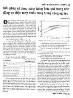 Giải pháp sử dụng năng lượng hiệu quả trong các động cơ điện xoay chiều dùng trong công nghiệp 