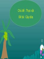 Bài giảng Mầm non: Chủ đề - Thực vật