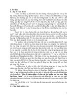 (SKKN HAY NHẤT) một số kinh nghiệm về công tác chủ nhiệm lớp tại trường tiểu học đông hưng, thành phố thanh hóa  