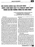 Đặc trưng động học của quá trình điều chế bột sắt và niken siêu mịn trong các môi trường tương tác khác nhau 