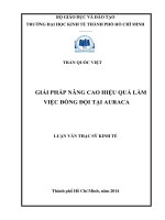 Luận văn thạc sĩ UEH giải pháp nâng cao hiệu quả làm việc đồng đội tại auraca 