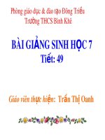 Bài giảng Sinh học lớp 7 bài 49: Đa dạng của lớp thú bộ dơi - bộ cá voi
