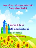Bài giảng Mầm non: Một số con vật sống trong rừng - Vũ Mai Phương