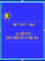 Bài giảng Đại số lớp 7 bài 11: Số vô tỉ. Khái niệm về căn bậc hai