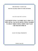 Luận văn thạc sĩ UEH giải pháp nâng cao hiệu quả cho vay tiêu dùng tại ngân hàng nông nghiệp và phát triển nông thôn việt nam chi nhánh thành phố hồ chí minh 