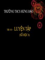 Bài giảng Đại số lớp 6 - Tiết 101: Luyện tập