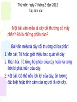 Bài giảng Tiếng Việt lớp 4: Tập làm văn - Đoạn văn trong bài văn miêu tả cây cối