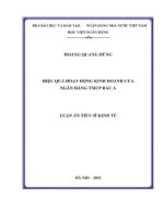 Hiệu quả hoạt động kinh doanh của ngân hàng thương mại cổ phần Bắc á