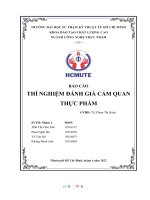 BÁO cáo THÍ NGHIỆM ĐÁNH GIÁ cảm QUAN THỰC PHẨM bài 1  các PHÉP THỬ HUẤN LUYỆN cảm GIÁC 