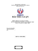 TIỂU LUẬN môn PHÁP LUẬT đại CƯƠNG đề tài HÌNH PHẠT TRONG LUẬT HÌNH sự VIỆT NAM   lý LUẬN và THỰC TIỄN 