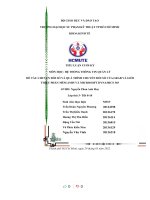 ĐỀ tài CHUYỂN đổi số và QUÁ TRÌNH CHUYỂN đổi số của GRAB và GIỚI THIỆU PHẦN mềm AMIS và MICROSOFT DYNAMICS 365 