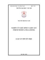 (LUẬN án TIẾN sĩ) nghiên cứu kiểu hình và kiểu gen ở bệnh nhi beta thalassmia 