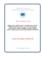 Luận văn thạc sĩ UEH giải pháp nâng cao hiệu quả quản trị rủi ro tín dụng tại các chi nhánh ngân hàng nông nghiệp và phát triển nông thôn địa bàn thành phố hồ chí minh 