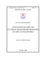 (LUẬN án TIẾN sĩ) đánh giá kết quả điều trị của thuốc sorafenib trên bệnh nhân ung thư gan nguyên phát 