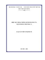 Hiệu quả hoạt động kinh doanh của ngân hàng TMCP bắc á 