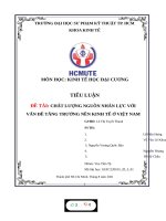 TIỂU LUẬN đề tài CHẤT LƯỢNG NGUỒN NHÂN lực với vấn đề TĂNG TRƯỞNG nền KINH tế ở VIỆT NAM 