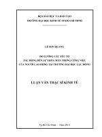 Luận văn thạc sĩ UEH đo lường các yếu tố tác động đến sự thỏa mãn trong công việc của người lao động tại trường đại học lạc hồng 