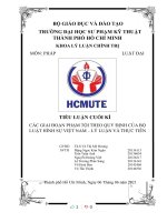 TIỂU LUẬN CUỐI kì các GIAI đoạn PHẠM tội THEO QUY ĐỊNH của bộ LUẬT HÌNH sự VIỆT NAM – lý LUẬN và THỰC TIỄN 