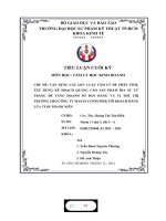 VẬN DỤNG các QUY LUẬT tâm lý để PHÂN TÍCH, xây DỰNG kế HOẠCH QUẢNG cáo sản PHẨM BIA sư tử TRẮNG để TĂNG DOANH số bán HÀNG và vị THẾ THỊ TRƯỜNG 