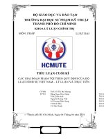 TIỂU LUẬN CUỐI kì các GIAI đoạn PHẠM tội THEO QUY ĐỊNH của bộ LUẬT HÌNH sự VIỆT NAM – lý LUẬN và THỰC TIỄN 