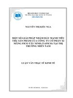 Luận văn thạc sĩ UEH một số giải pháp nhằm đẩy mạnh tiêu thụ sản phẩm của công ty cổ phần xi măng fico tây ninh (tafico) tại thị trường miền nam 