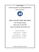 TIỂU LUẬN KẾT THÚC HỌC PHẦN Môn: Marketing Nội Dung Vẹn Cosmeceuticals