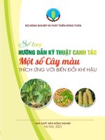 Thích ứng với biến đổi khí hậu: Sổ tay hướng dẫn kỹ thuật canh tác một số cây màu