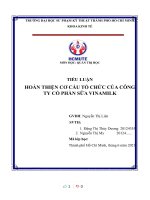TIỂU LUẬN HOÀN THIỆN cơ cấu tổ CHỨC của CÔNG TY cổ PHẦN sữa VINAMILK 